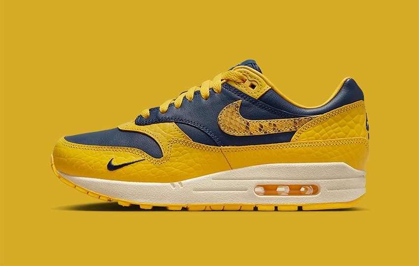 Nike Air Max 1 CO JP Michigan