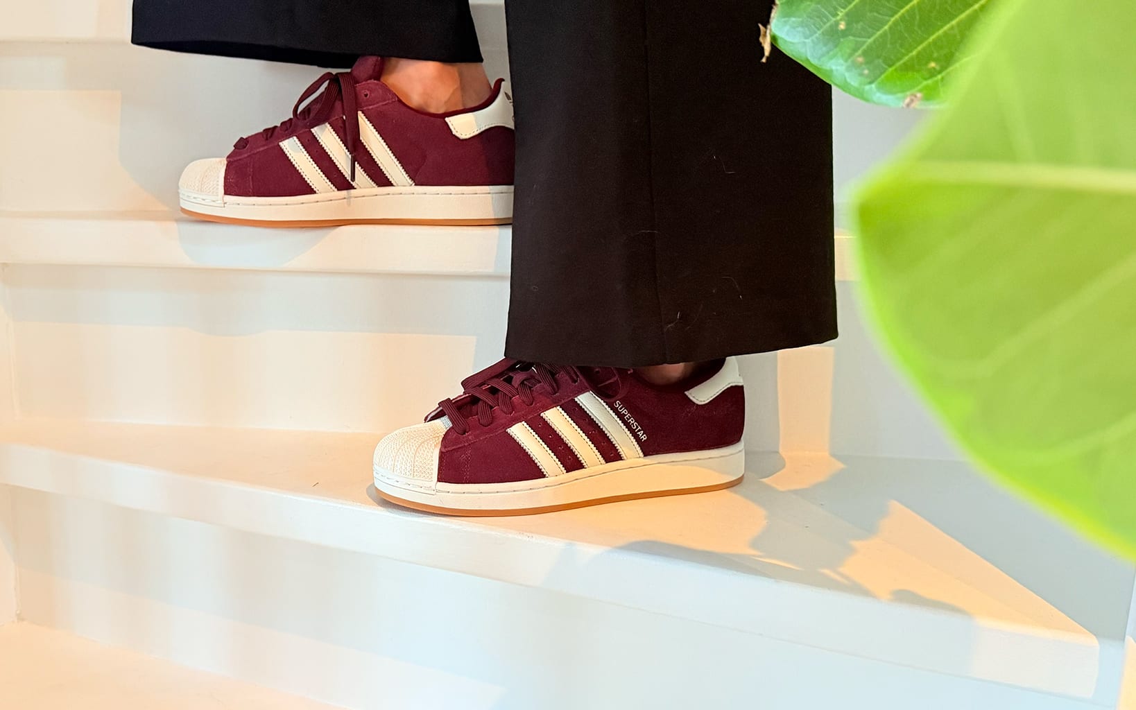 adidas superstar off white maroon