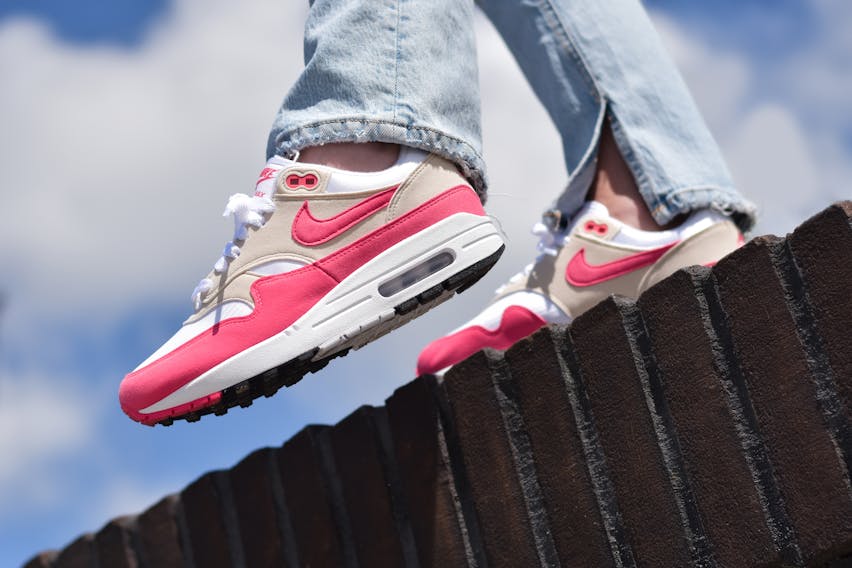 2 nike air max 1 aster pink dz2628 110