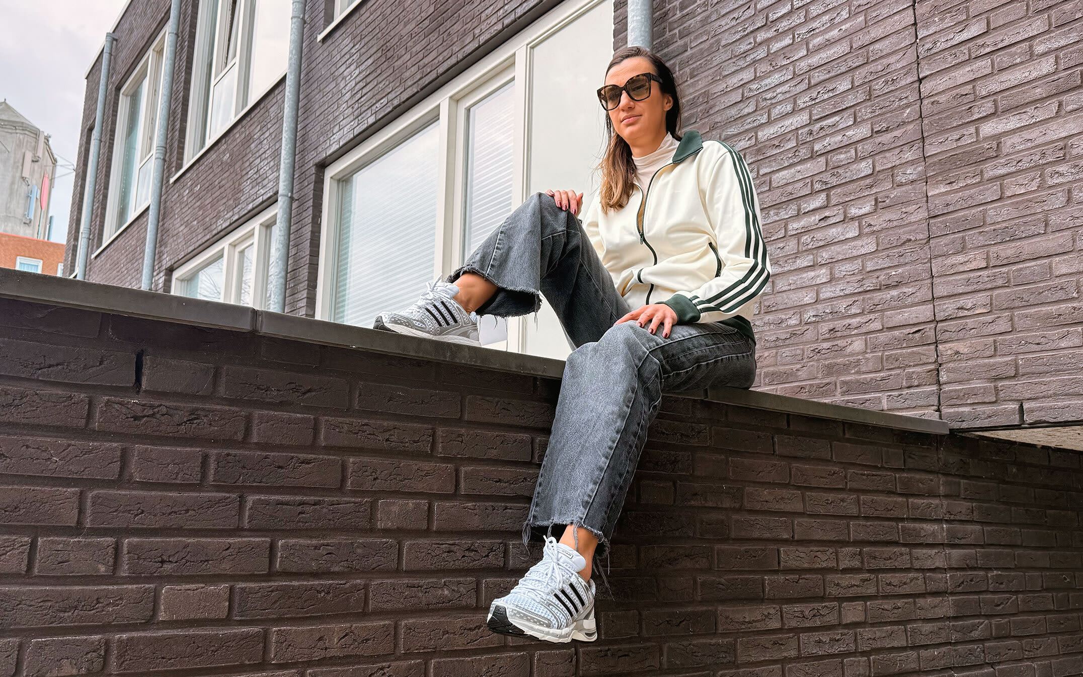 4 adistar control 5 silver metallic JQ4168