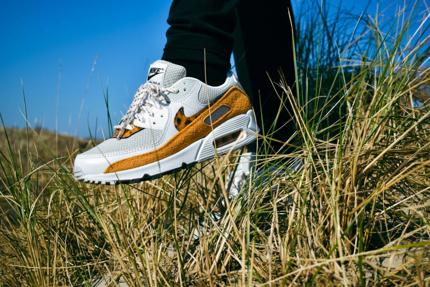 5 Nike Air Max 90 Tortoise Shell DQ9316-001