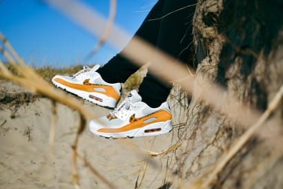 6 Nike Air Max 90 Tortoise Shell DQ9316-001