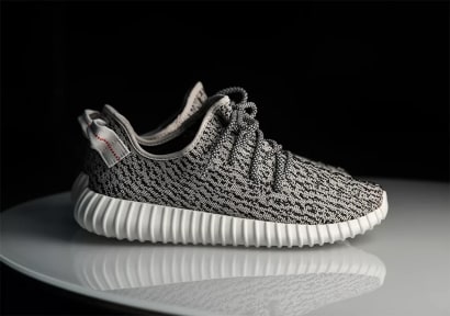 Adidas Yeezy Boost 350 Turtle Dove Foto 1