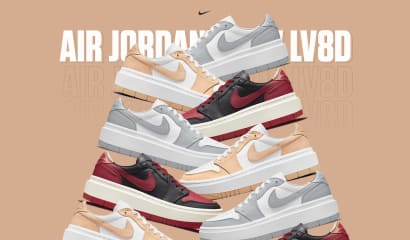 Air Jordan 1 Low LV8 D