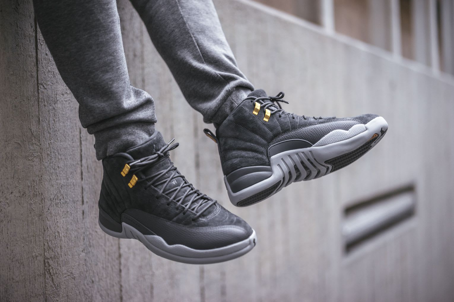 Air Jordan 12 Dark Grey
