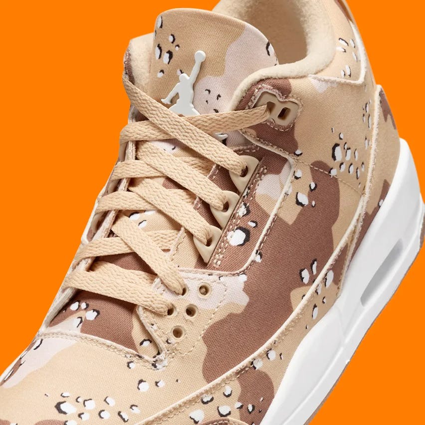 Air Jordan 3 Desert Camo Foto 5