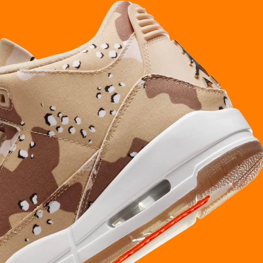 Air Jordan 3 Desert Camo Foto 7