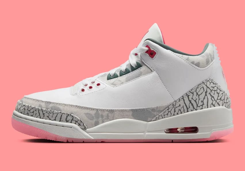 Air Jordan 3 Retro Wings Foto 2