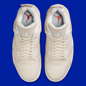 Air Jordan 4 Blank Canvas Foto 4