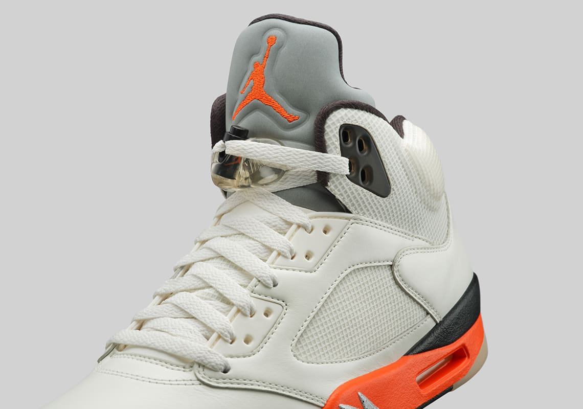 Air Jordan 5 Shattered Backboard Foto 3
