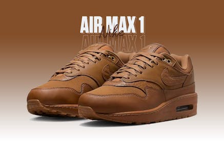 Nike Air Max 1 87 Wmns Ale Brown DV3888 200