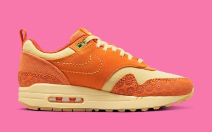 Nike Air Max 1 La Familia Foto 3