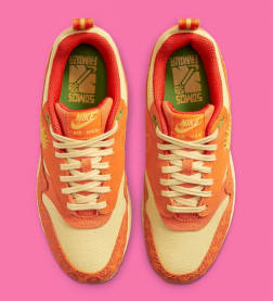 Nike Air Max 1 La Familia Foto 4