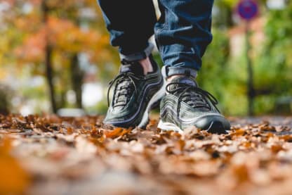 Nike Air Max 97 PRM Wool Sequoia