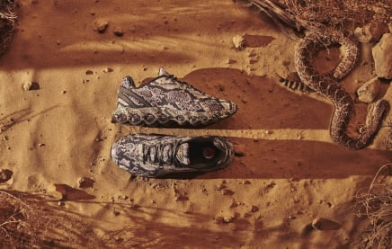 Nike Air Max DN8 Snakeskin air max day