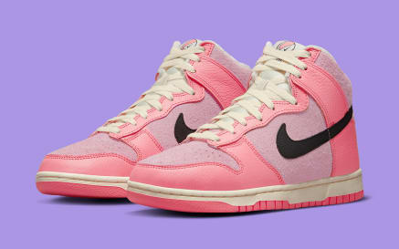 Nike Dunk High Hoops Foto 1