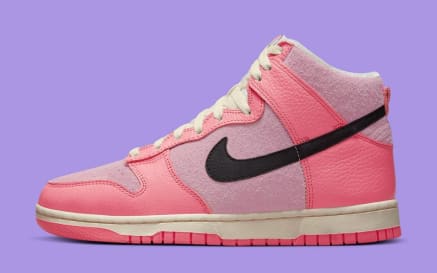 Nike Dunk High Hoops Foto 2