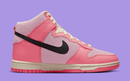 Nike Dunk High Hoops Foto 3