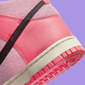 Nike Dunk High Hoops Foto 8