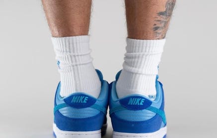 Nike SB Dunk Low Blue Raspberry Foto 10