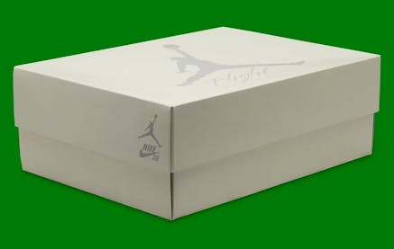 Nike SB x Air Jordan 4 Pine Green Foto 11