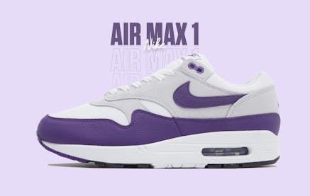 Nike air max 1 field purple dz4549 101
