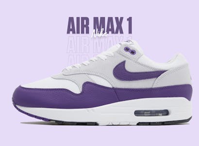 Nike air max 1 field purple dz4549 101