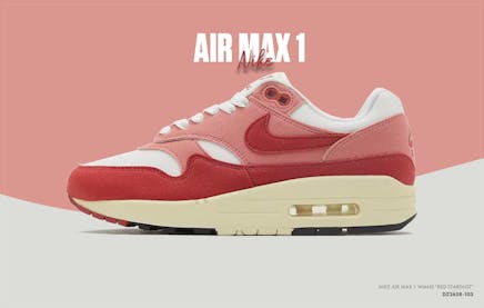 Nike air max 1 wmns red stardust dz2628 103 sneaker squad