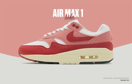 Nike air max 1 wmns red stardust dz2628 103 sneaker squad