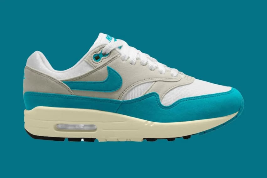 Nike Air Max 1 Dusty Cactus