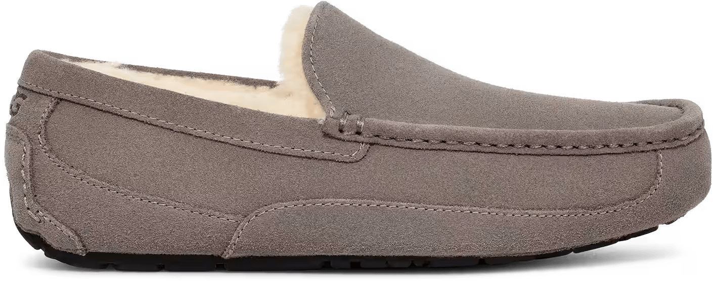 UGG Ascot Slipper Grey