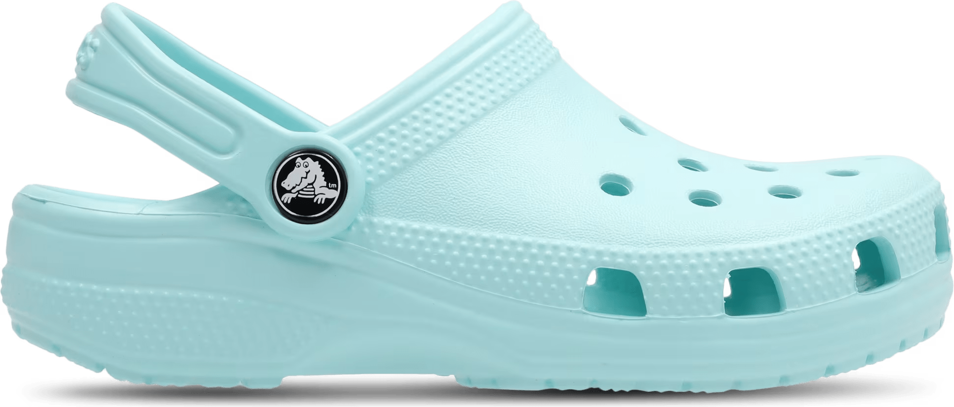 Crocs Classic Clog