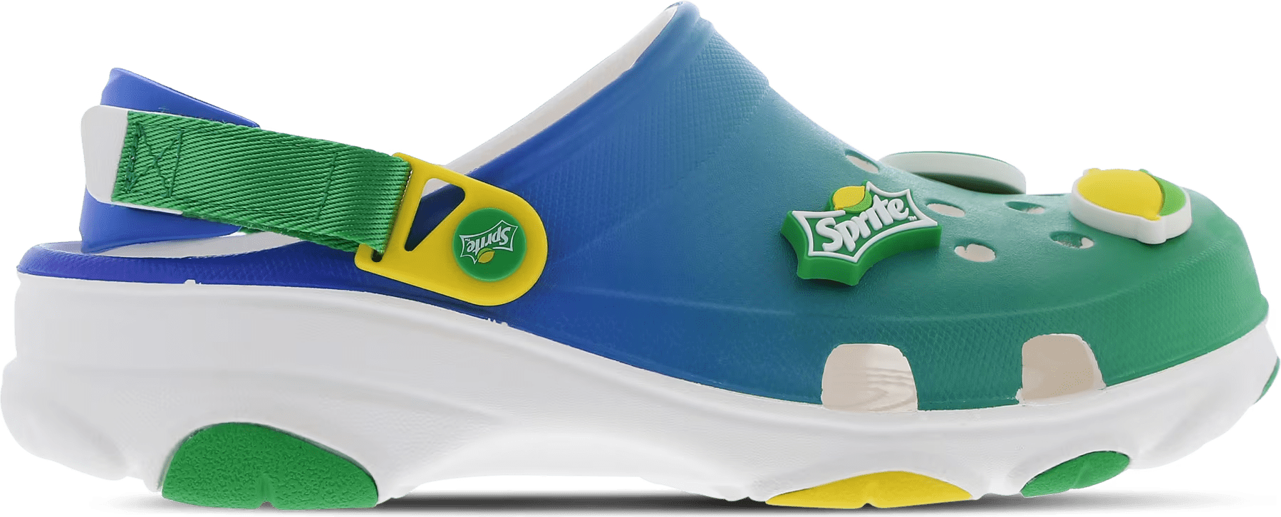 Crocs All Terrain Clog