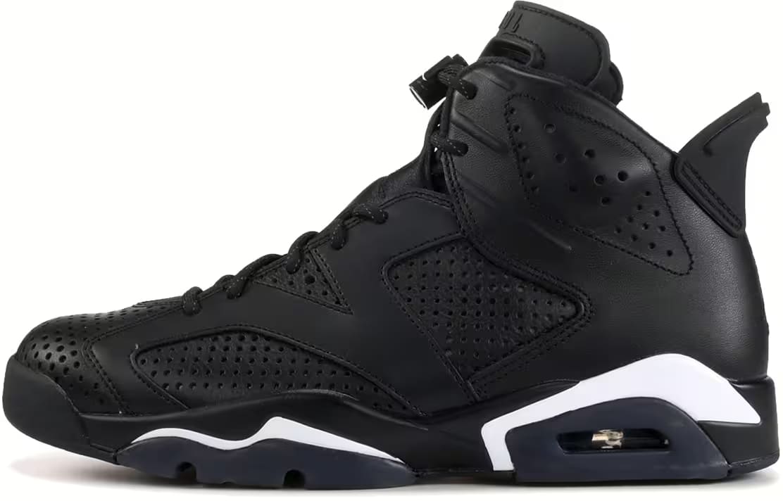 Air Jordan 6 Retro Black Cat