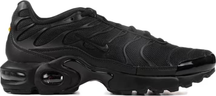 Nike Air Max Plus Black (GS)