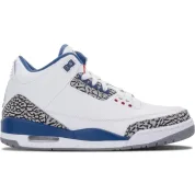 Air Jordan Nike AJ 3 III Retro True Blue