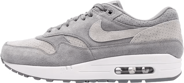 Nike Air Max 1 Cool Grey Wolf