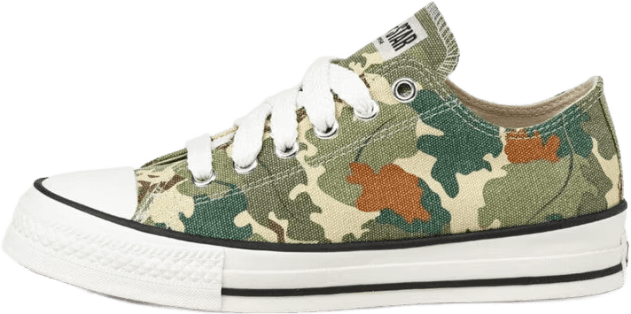 Converse Chuck Taylor All Star Throwback Low Archive Leaf