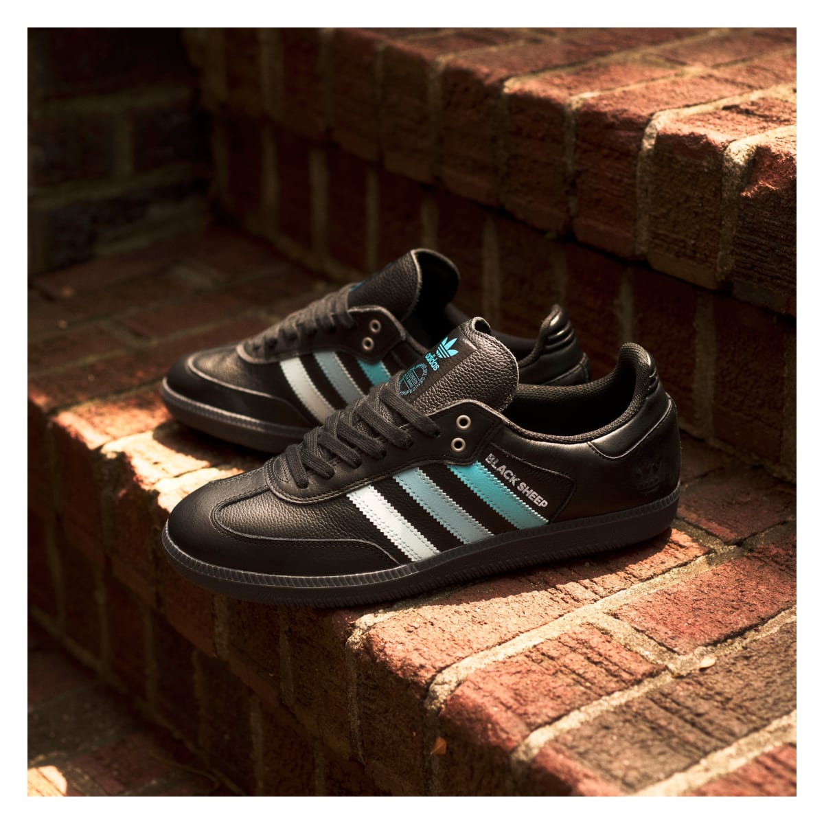 Black Sheep x Charlotte FC x Adidas Samba Adv "Black Ice Blue"