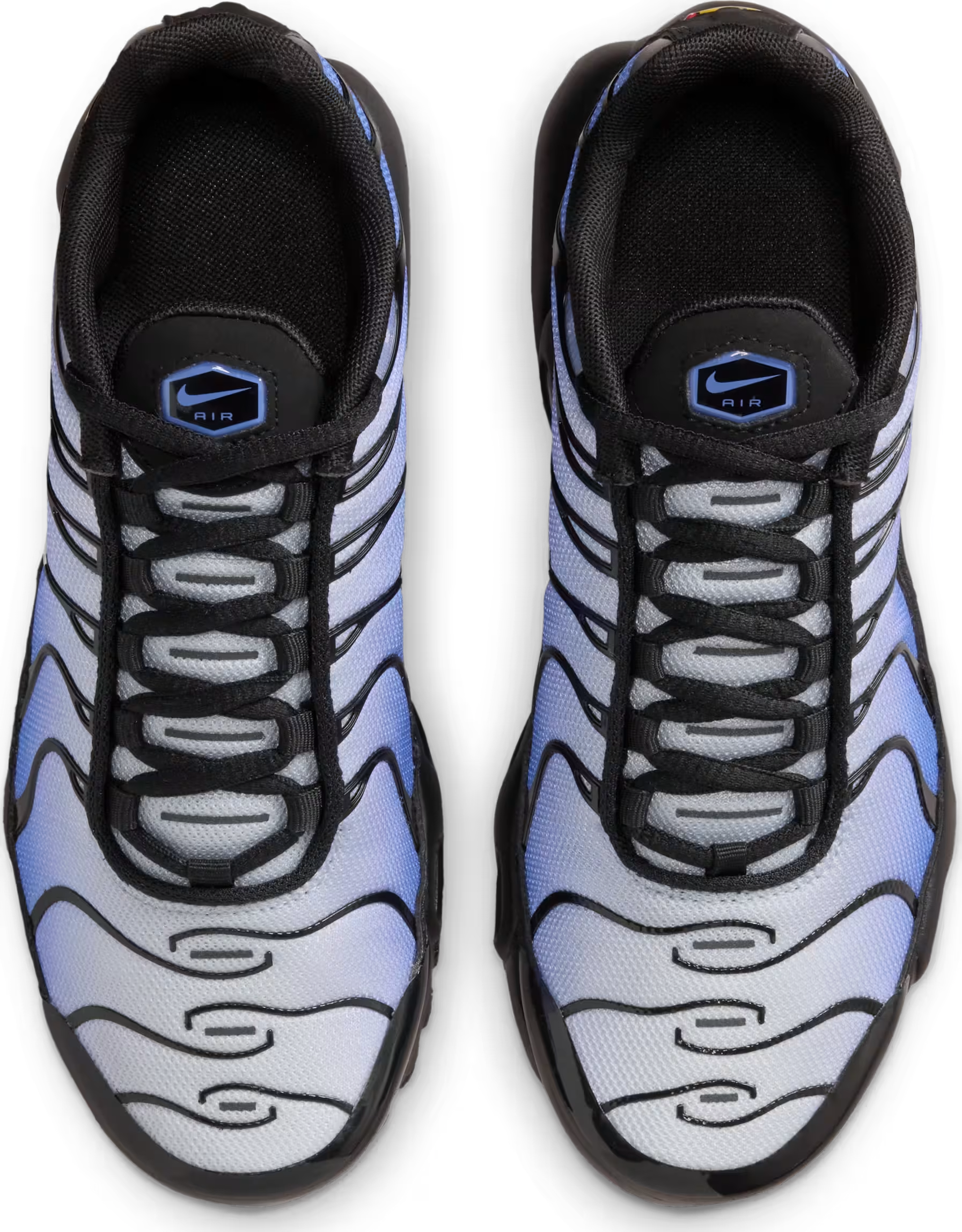 Nike Air Max Plus Black Sapphire (GS)