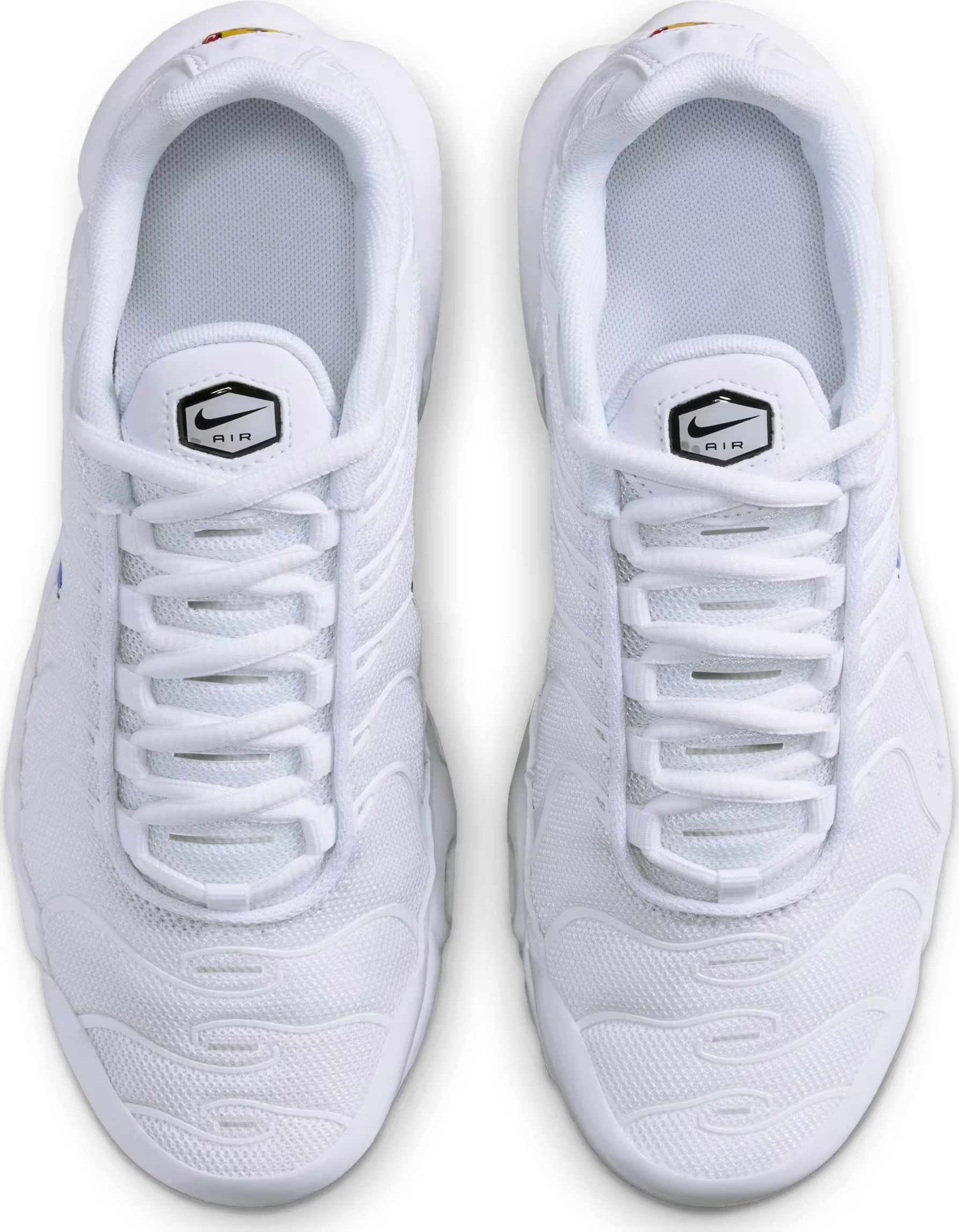 Nike Air Max Plus