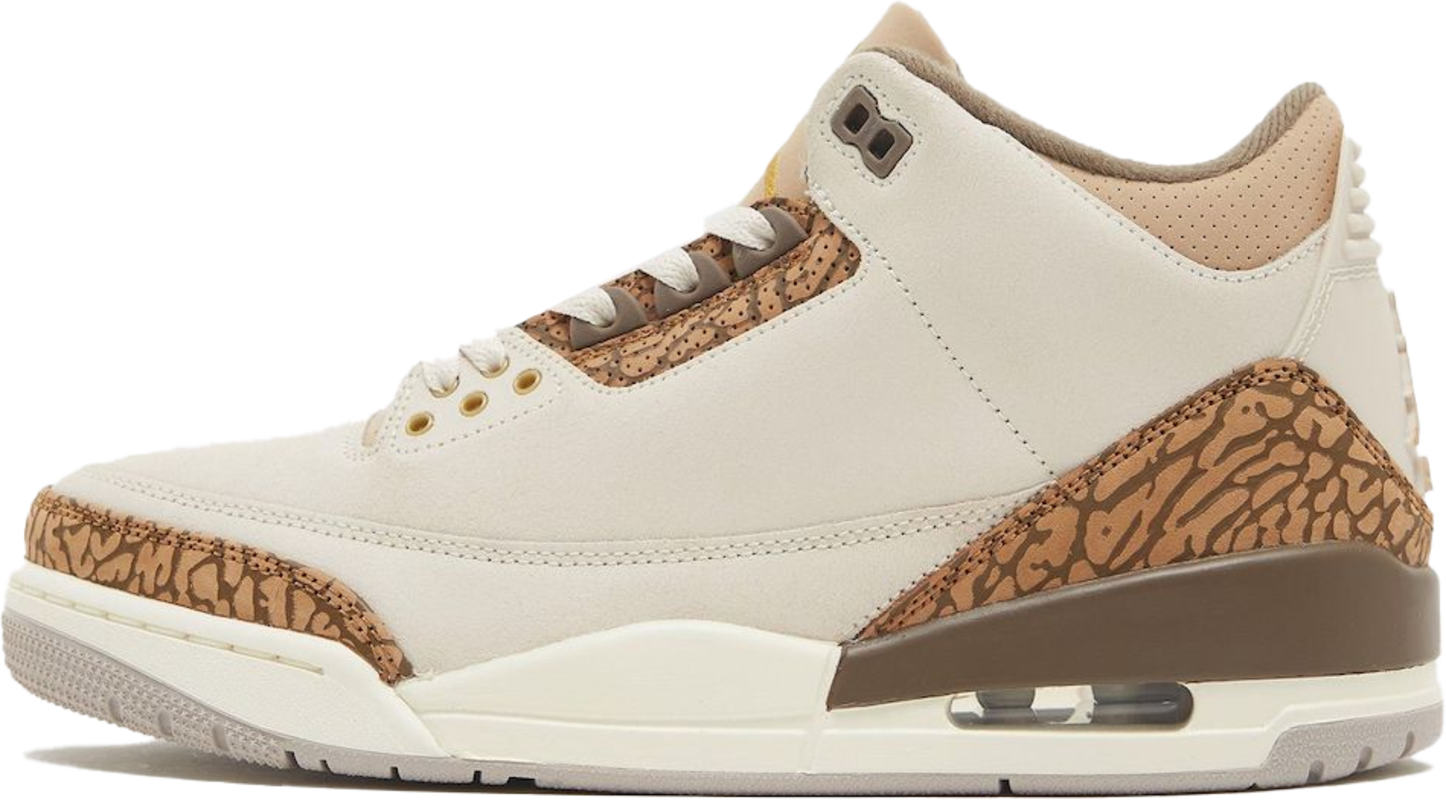 Air Jordan 3 Retro