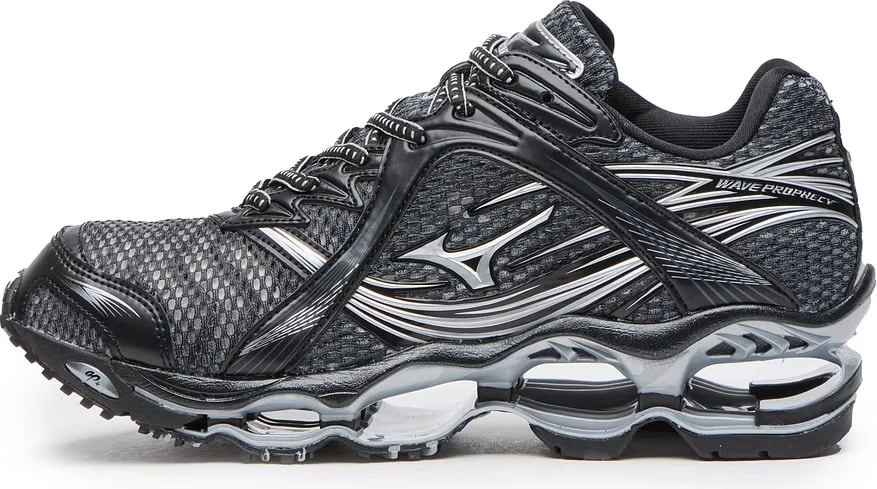 Mizuno Wave Prophecy 1