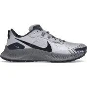 Nike Pegasus Trail 3 Ghost