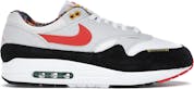Nike Air Max 1 "Live Together, Play Together"