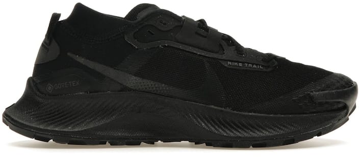 Nike Pegasus Trail 3 GORE-TEX Black