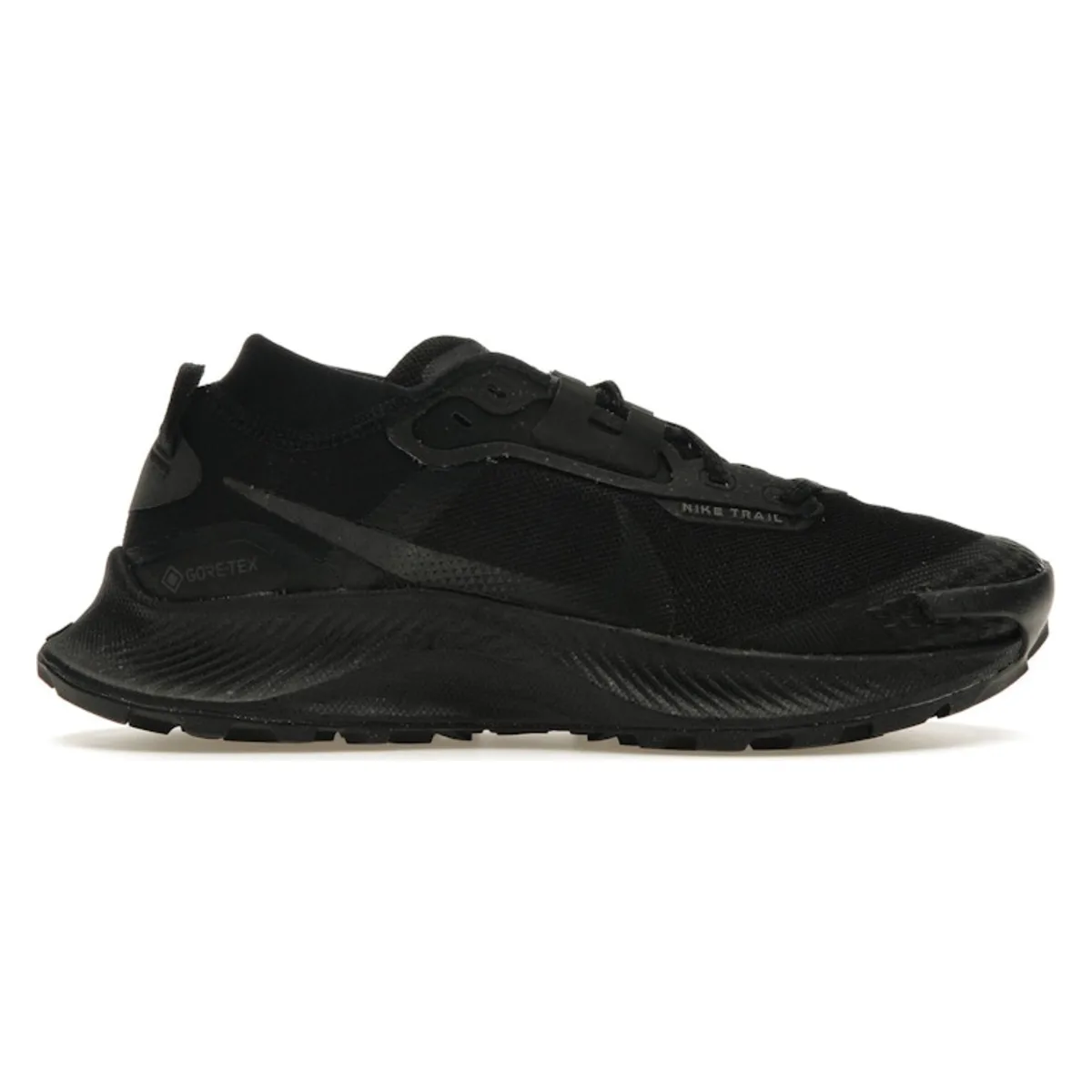 Nike Pegasus Trail 3 GORE-TEX Black