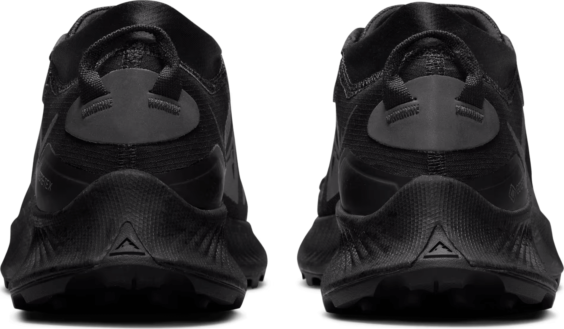 Nike Pegasus Trail 3 GORE-TEX Black