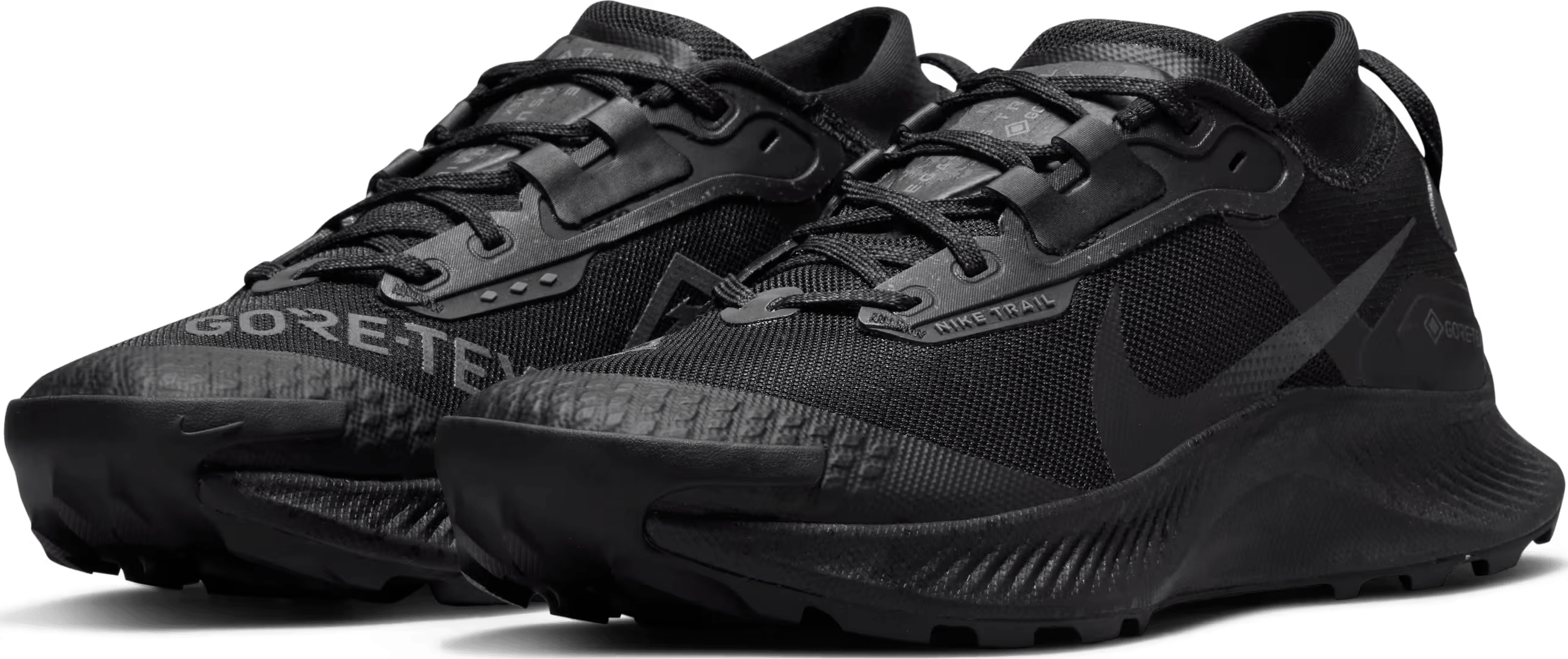Nike Pegasus Trail 3 GORE-TEX Black