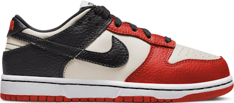 Nike Dunk Low EMB NBA 75th Anniversary Chicago (PS)